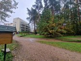 Parduodamas butas ,saldainis, Išskirtinėje - nuotraukos Nr. 46