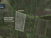 Parduodamas 459 arų žemės ūkio paskirties - nuotraukos Nr. 3