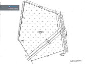 ! Miškų Apsuptyje Parduodamas 1,38 Ha - nuotraukos Nr. 4