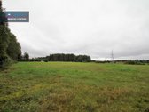 ! Miškų Apsuptyje Parduodamas 1,38 Ha - nuotraukos Nr. 5