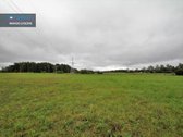 ! Miškų Apsuptyje Parduodamas 1,38 Ha - nuotraukos Nr. 7