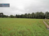 ! Miškų Apsuptyje Parduodamas 1,38 Ha - nuotraukos Nr. 9