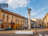 Parduodamas Absoliučiai Išskirtinis 3 - nuotraukos Nr. 35
