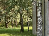 Jaukus namas Vilniuje, miško apsuptyje – - nuotraukos Nr. 26