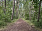 Parduodamas Kokybiškai Įrengtas 2 Kambarių - nuotraukos Nr. 14