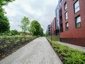  Projekte „baltupis“, kurį vysto ilgametis - nuotraukos Nr. 3