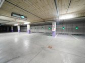  Projekte „baltupis“, kurį vysto ilgametis - nuotraukos Nr. 23