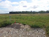 Parduodami du sklypai Piliuonoje. Sklypai yra - nuotraukos Nr. 3