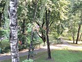 Parduodamas 2-ų Kambarių Butas Vingio G., Alytuje. - nuotraukos Nr. 11