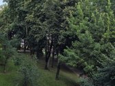 Parduodamas 2-ų Kambarių Butas Vingio G., Alytuje. - nuotraukos Nr. 10