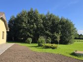 Parduodama Sodyba Greičiūnuose – Idealus - nuotraukos Nr. 29