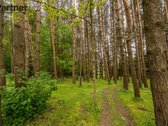 Parduodamas erdvus dviejų kambarių butas, pro - nuotraukos Nr. 24