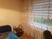 Puiki vieta gyventi-ramus, žalias ir - nuotraukos Nr. 17