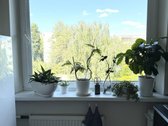Butas labai šiltas žiemos laikotarpiu, - nuotraukos Nr. 17
