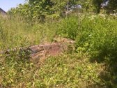 Unikali Investicija Prie Platelių Ežero: - nuotraukos Nr. 3