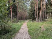 Naujos Statybos A++ Namas Palangoje  67,85 - nuotraukos Nr. 6