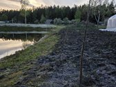 Parduodamas 93 arų sklypas, esantis miško - nuotraukos Nr. 8