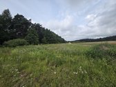 Parduodamas 17 arų žemės ūkio paskirties - nuotraukos Nr. 9