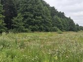 Parduodamas 17 arų žemės ūkio paskirties - nuotraukos Nr. 10