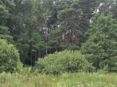 Parduodamas 17 arų žemės ūkio paskirties - nuotraukos Nr. 12