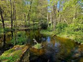 Parduodama sodybvietė ant Zalvės upės kranto, - nuotraukos Nr. 16
