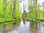 Parduodama sodybvietė ant Zalvės upės kranto, - nuotraukos Nr. 18