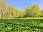 Parduodama sodybvietė ant Zalvės upės kranto, - nuotraukos Nr. 19
