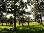 Varėnos r. sav., Pagirių k. parduodamas - nuotraukos Nr. 17