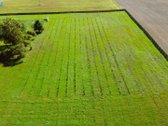 Varėnos r. sav., Pagirių k. parduodamas - nuotraukos Nr. 19