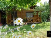 Išskirtinė Sodyba–verslas Miško Take, Šventojoje - nuotraukos Nr. 20
