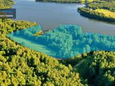 Išskirtinė 3,42 ha sodybvietė su beveik 500 m - nuotraukos Nr. 4