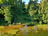 Išskirtinė 3,42 ha sodybvietė su beveik 500 m - nuotraukos Nr. 14