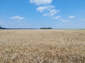 Parduodamas žemės sklypas Kėdainių r. Kilbisų
