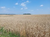 Parduodamas žemės sklypas Kėdainių r. Kilbisų - nuotraukos Nr. 2