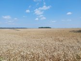 Parduodamas žemės sklypas Kėdainių r. Kilbisų - nuotraukos Nr. 3