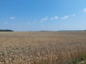 Parduodamas žemės sklypas Kėdainių r. Kilbisų - nuotraukos Nr. 4