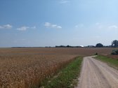 Parduodamas žemės sklypas Kėdainių r. Kilbisų - nuotraukos Nr. 5