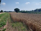 Parduodamas žemės sklypas Kėdainių r. Kilbisų - nuotraukos Nr. 6