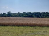 Parduodamas žemės sklypas Kėdainių r. Kilbisų - nuotraukos Nr. 7