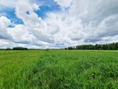 Nuostabios Gamtos Ir Ežerų Apsuptame Žaugėdų - nuotraukos Nr. 28