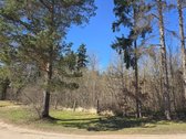 Pušynų apsuptyje, visai šalia Utenos miesto, - nuotraukos Nr. 8