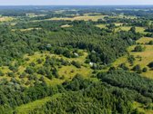 Pušyno apsuptyje, ant aukštos kalvos - nuotraukos Nr. 15