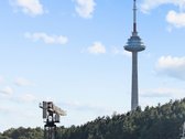 Parduodamas erdvus 3 kambarių butas Žvėryne – - nuotraukos Nr. 18