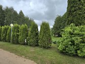 Parduodama išskirtinė, jauki ir kruopščiai - nuotraukos Nr. 14