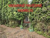 Parduodama išskirtinė, jauki ir kruopščiai - nuotraukos Nr. 17