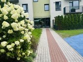 Nuomojamas 1,5 kambario butas po atnaujinimo - nuotraukos Nr. 9
