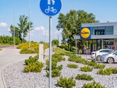 Neįrengtas Namas Su Erdviu Žemės Sklypo - nuotraukos Nr. 5