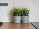 Parduodamas Tvarkingas Dviejų Kambarių 28.32 - nuotraukos Nr. 2