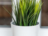 Parduodamas Tvarkingas Dviejų Kambarių 28.32 - nuotraukos Nr. 17