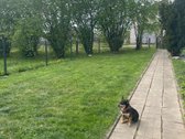 Parduodamas Namas Su 0,4435 Ha Namų Valdos - nuotraukos Nr. 5
